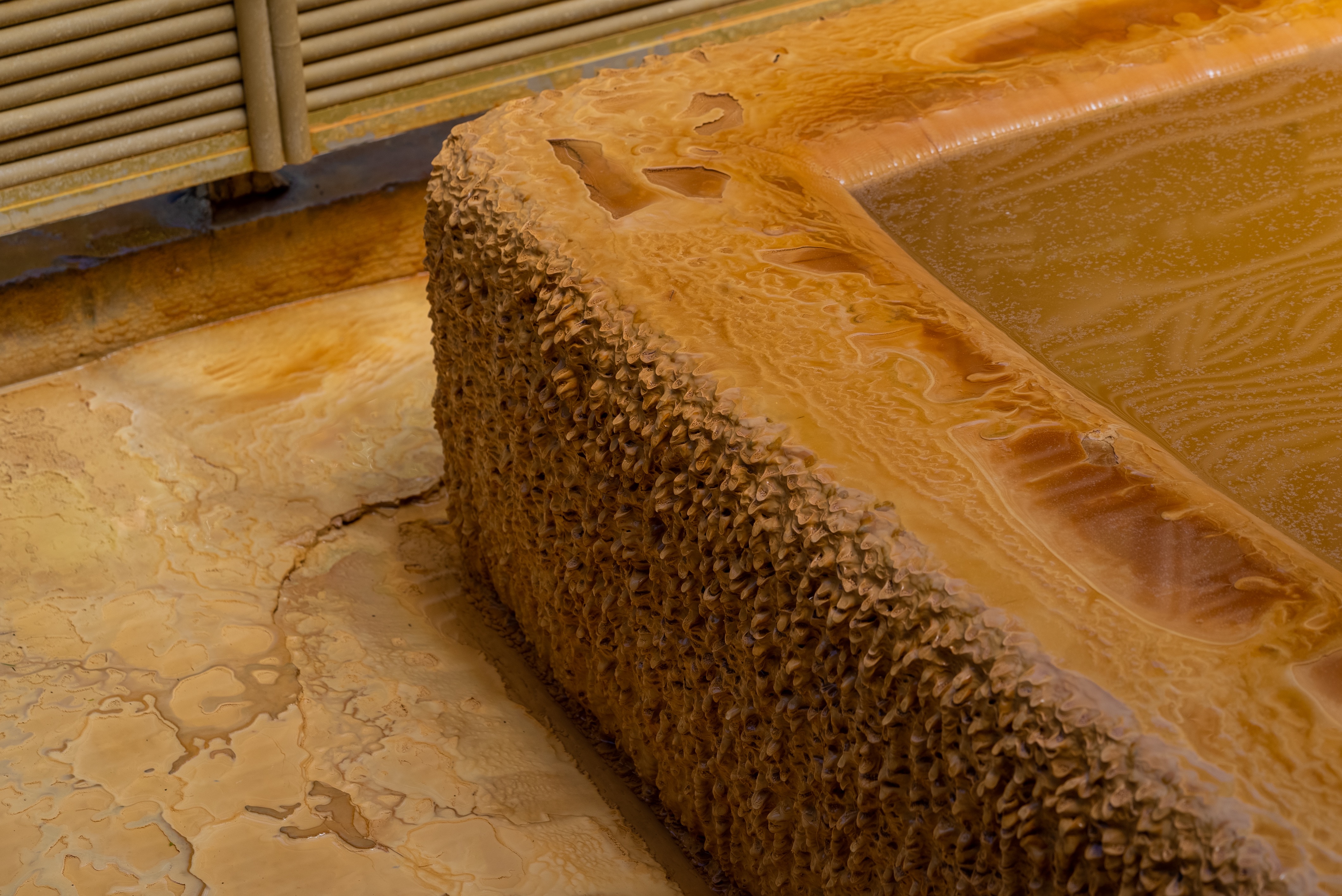 %e6%ba%90%e6%b3%89%e3%81%8b%e3%81%9f%e3%81%be%e3%82%8a-4